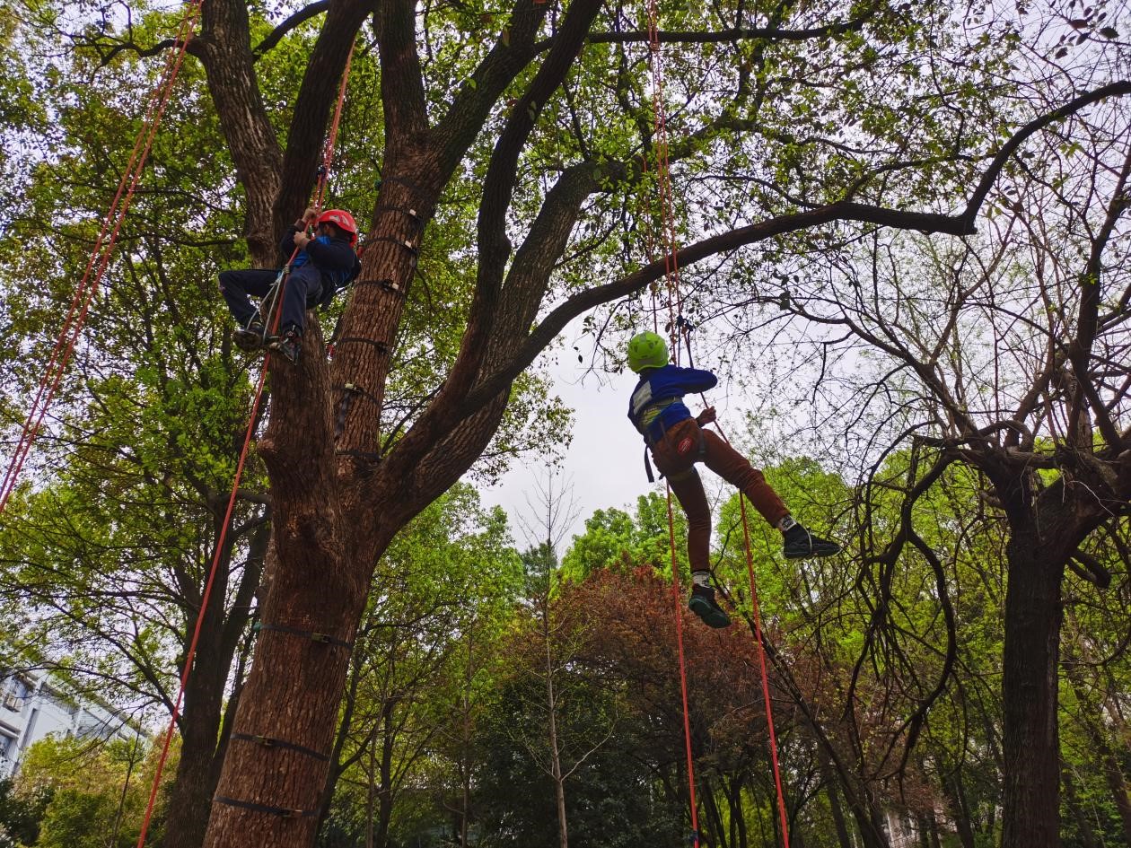 zoty中欧体育加速节点