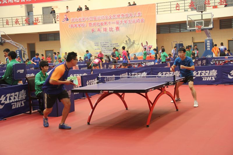 zoty中欧体育直播图片