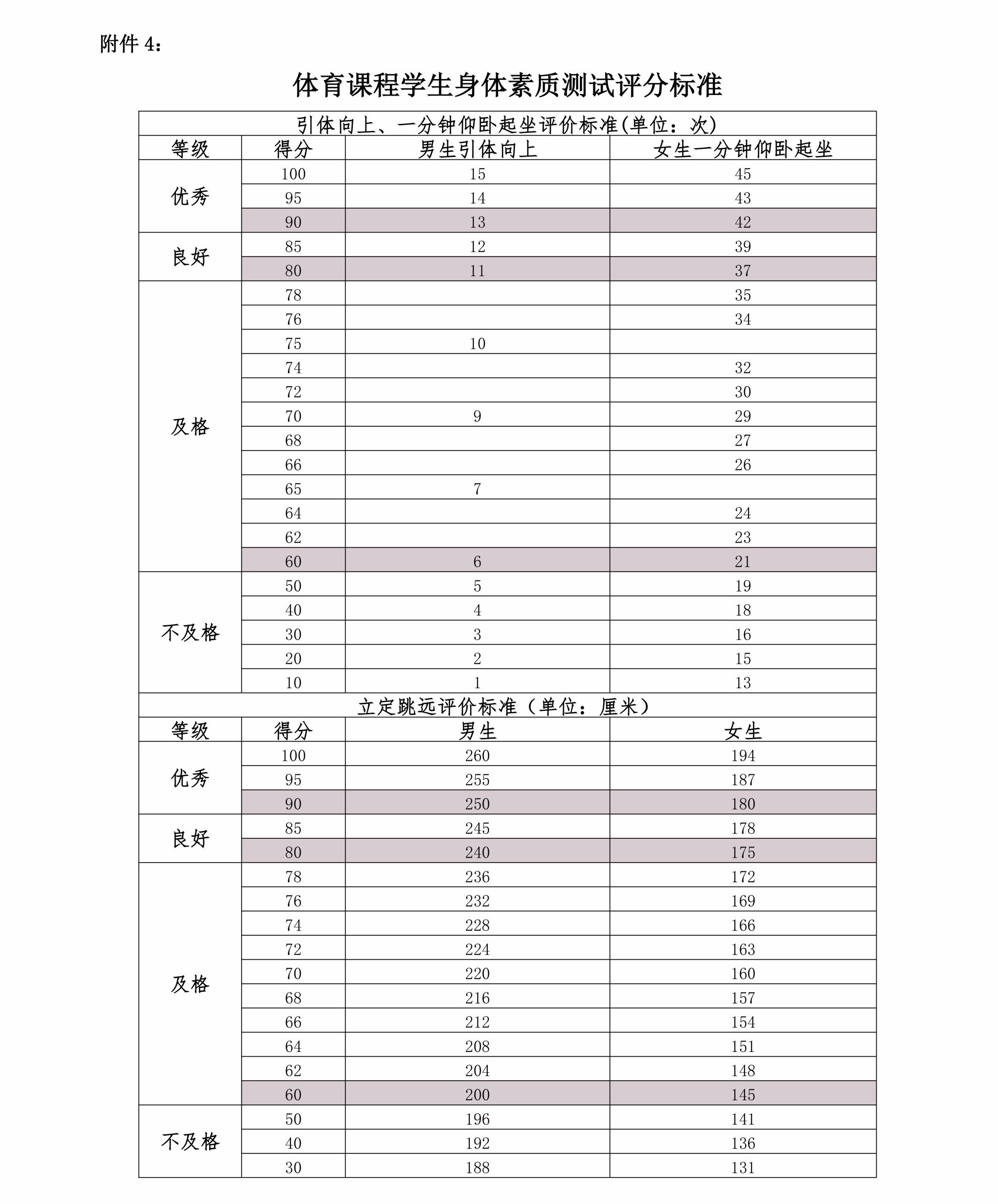 zoty中欧体育直播