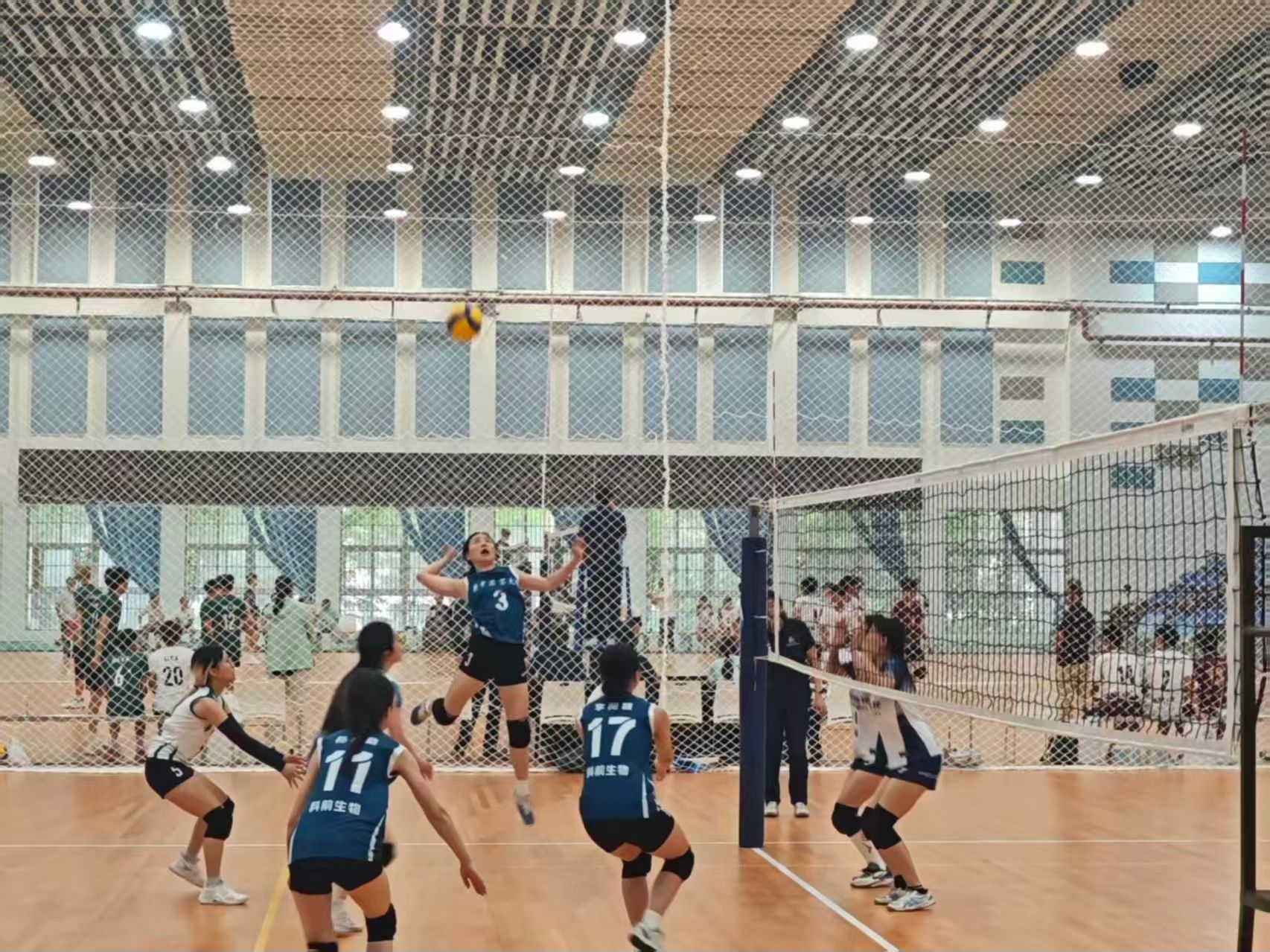 zoty中欧体育欧冠直播